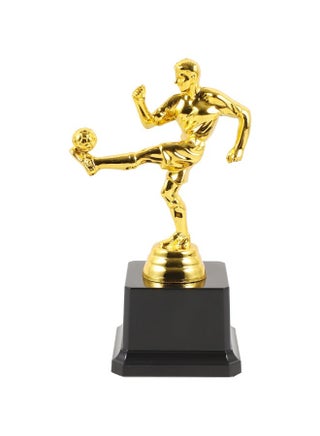 A classic gold football championship trophy with a sturdy base - perfect for school awards, sports competitions, and party favors.